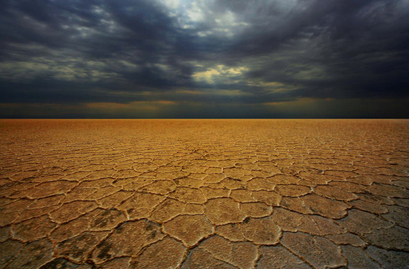 1231 Desertification By Siamak Sabet