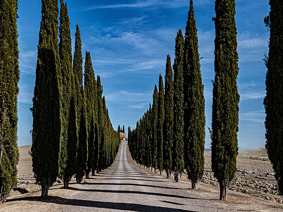 Tuscany Fall Landscape