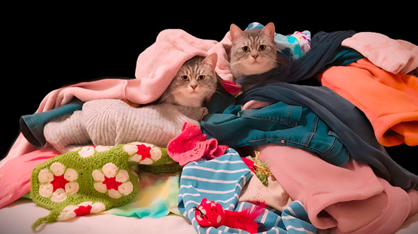 Emily, Highcliffe Secondary School