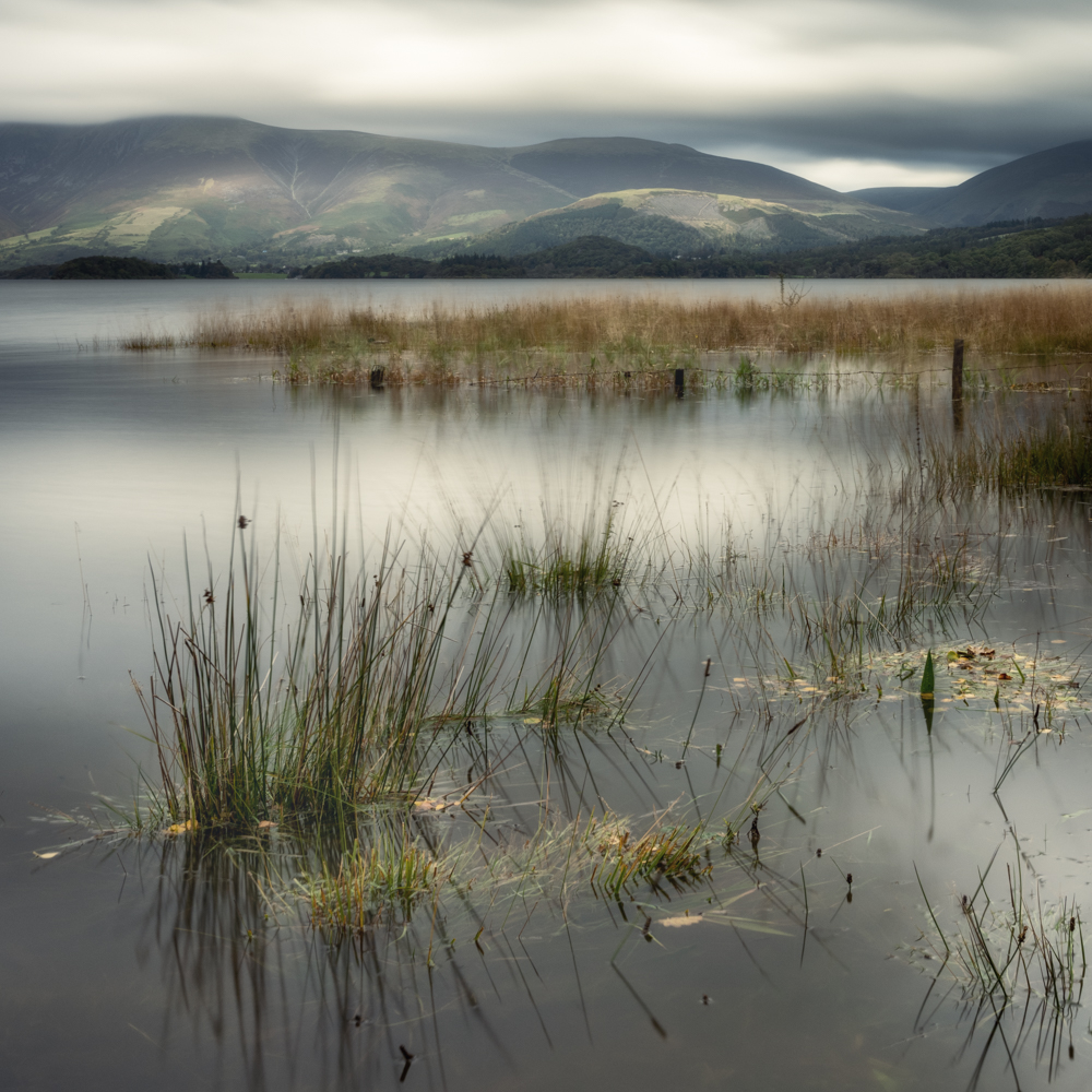 Water's Edge By Lindsay Southgate ARPS