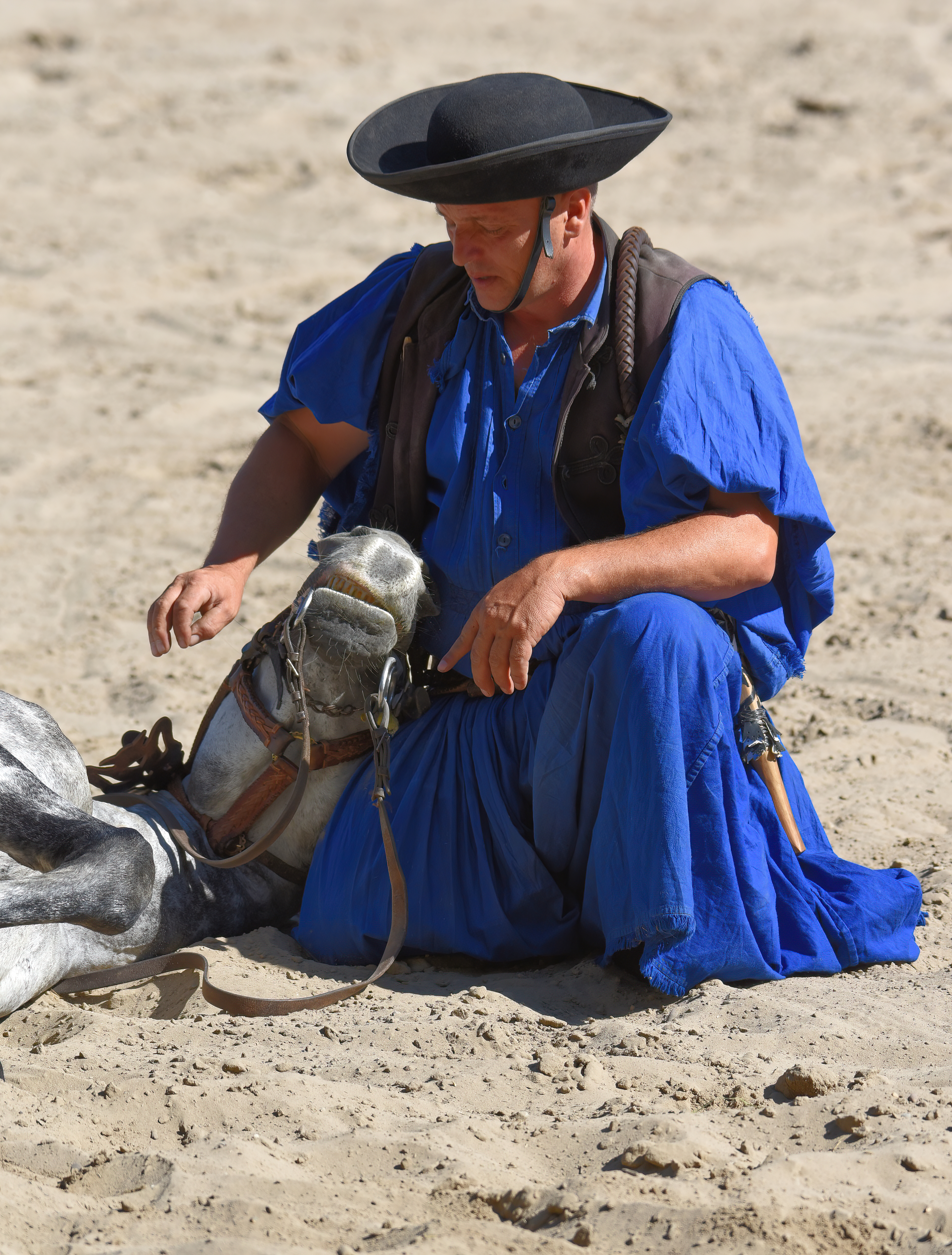 Puszta, Hungary, Horse and Rider by Peter Saltiel