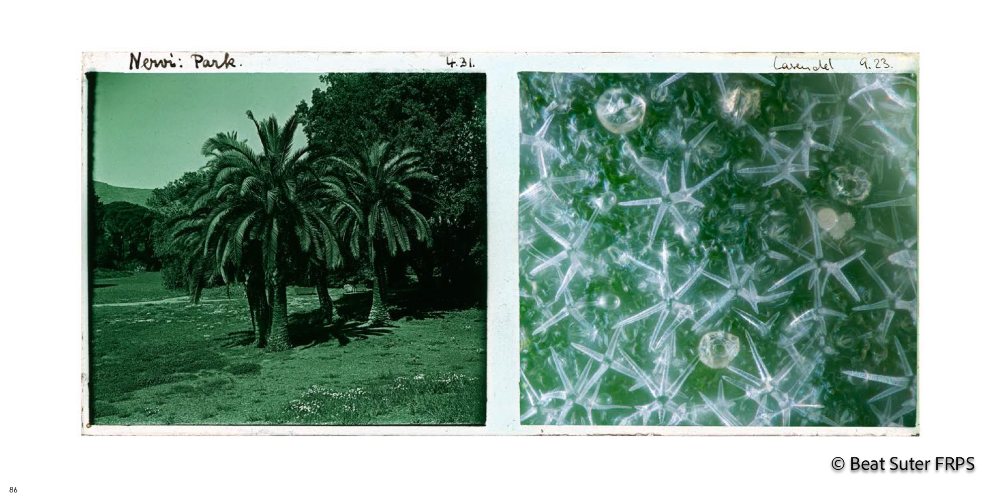 Fotobuch Im Dialog S86 7 Web2000