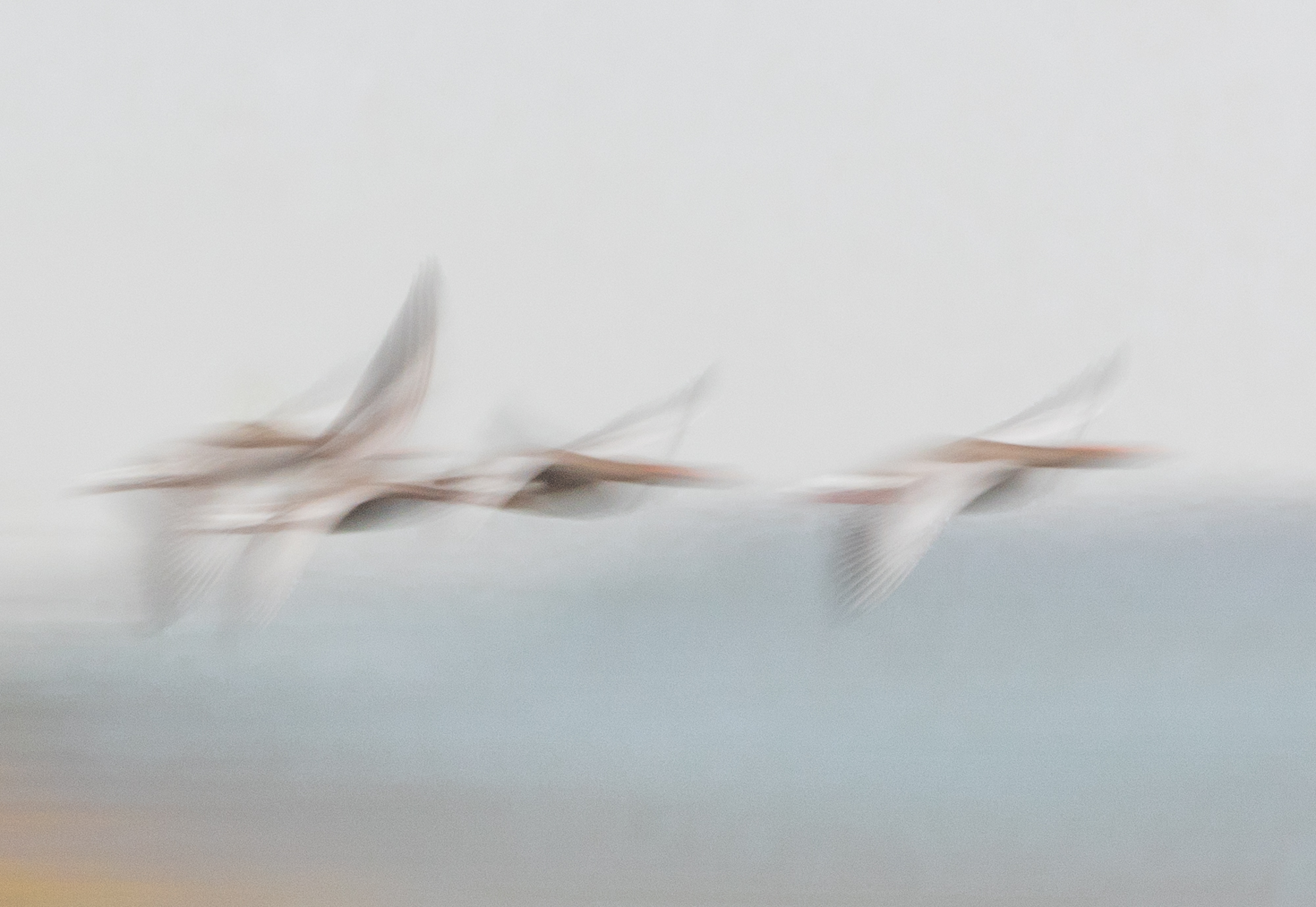 Yvonne Green LRPS Print 02