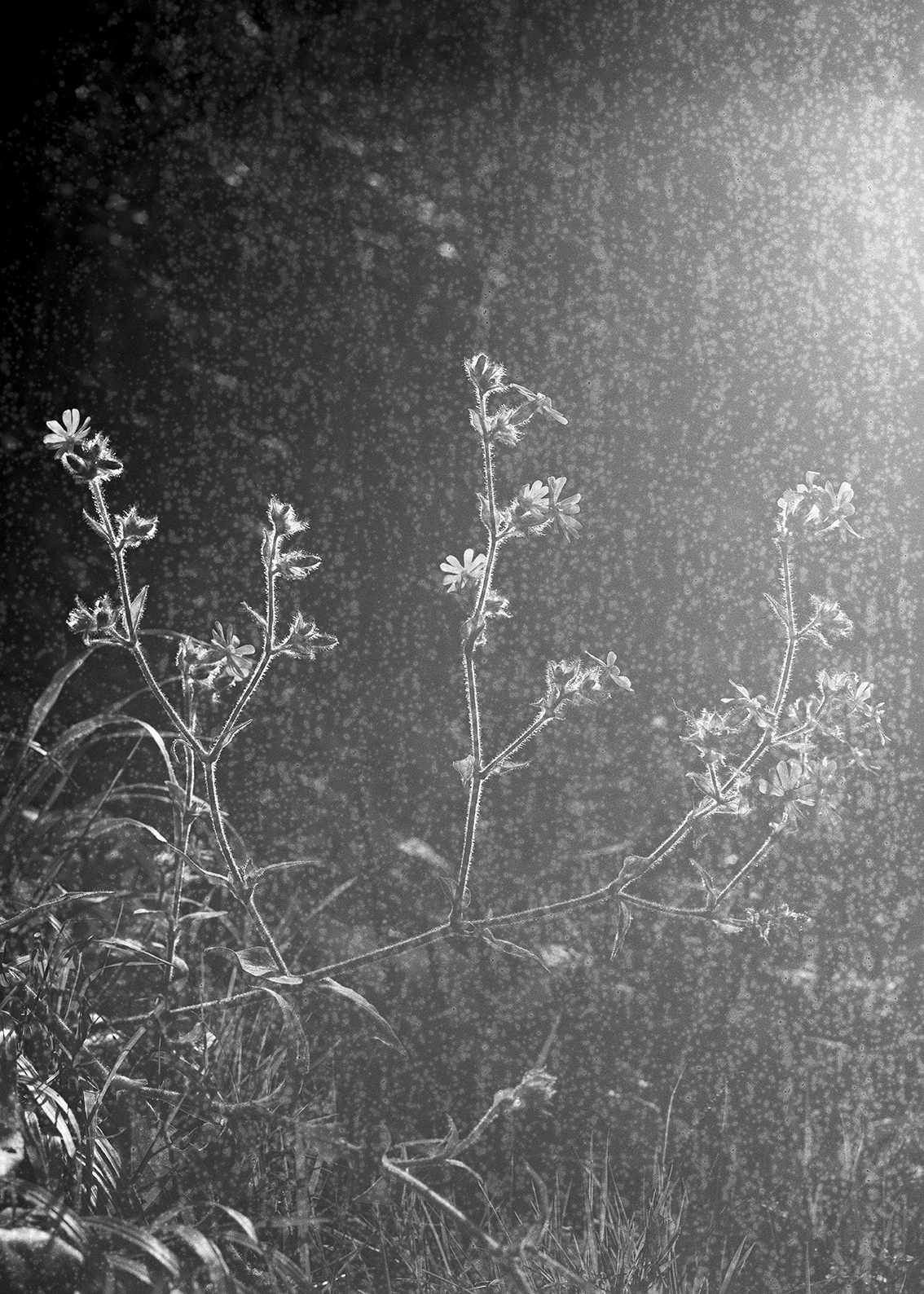 Angelas Crosti The Moment You Were Gone 04