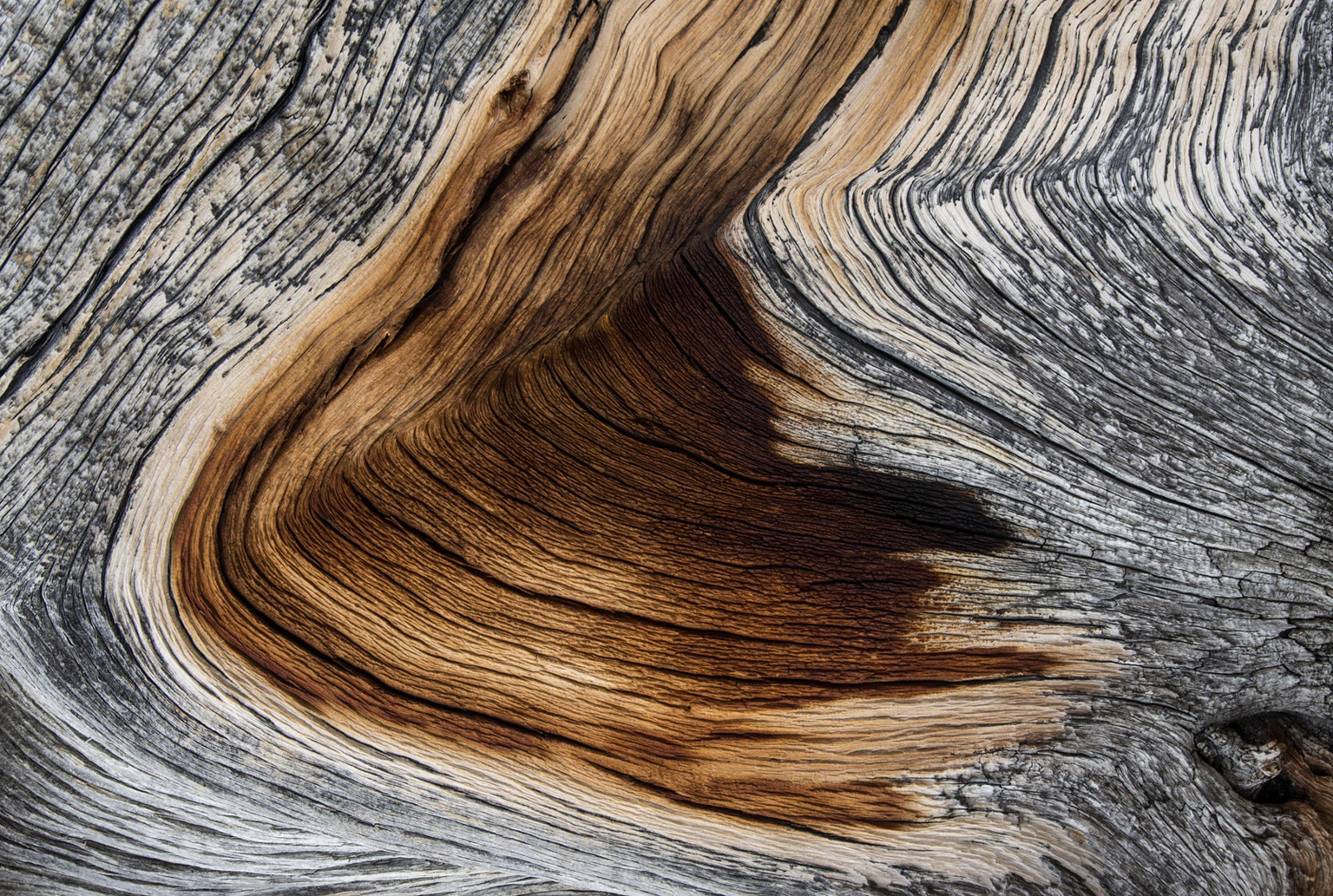 Tonvanderlaanlrps 07