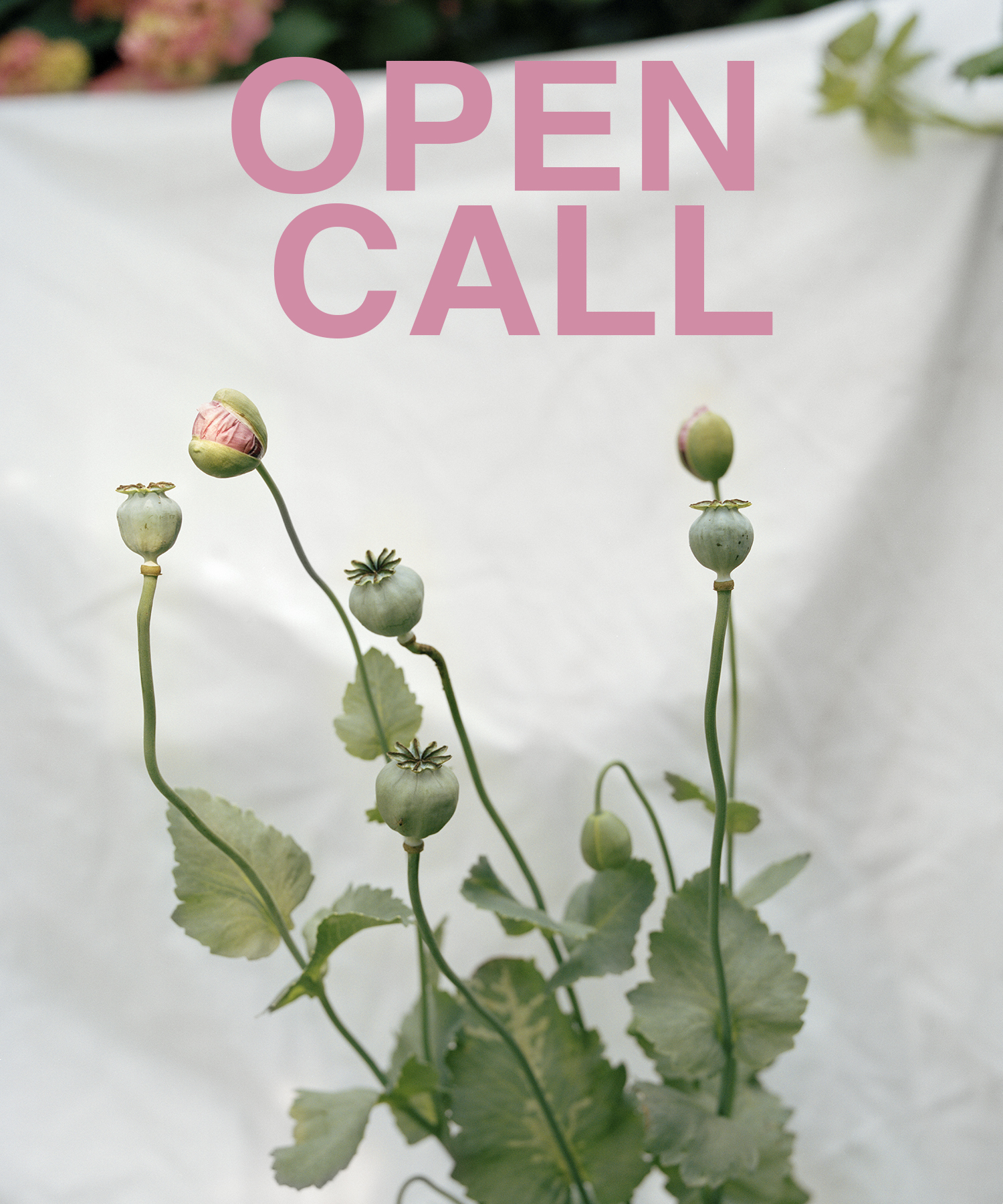 IPE168 Opencall Thomas