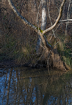 Gerry Phillipson ARPS Card 08