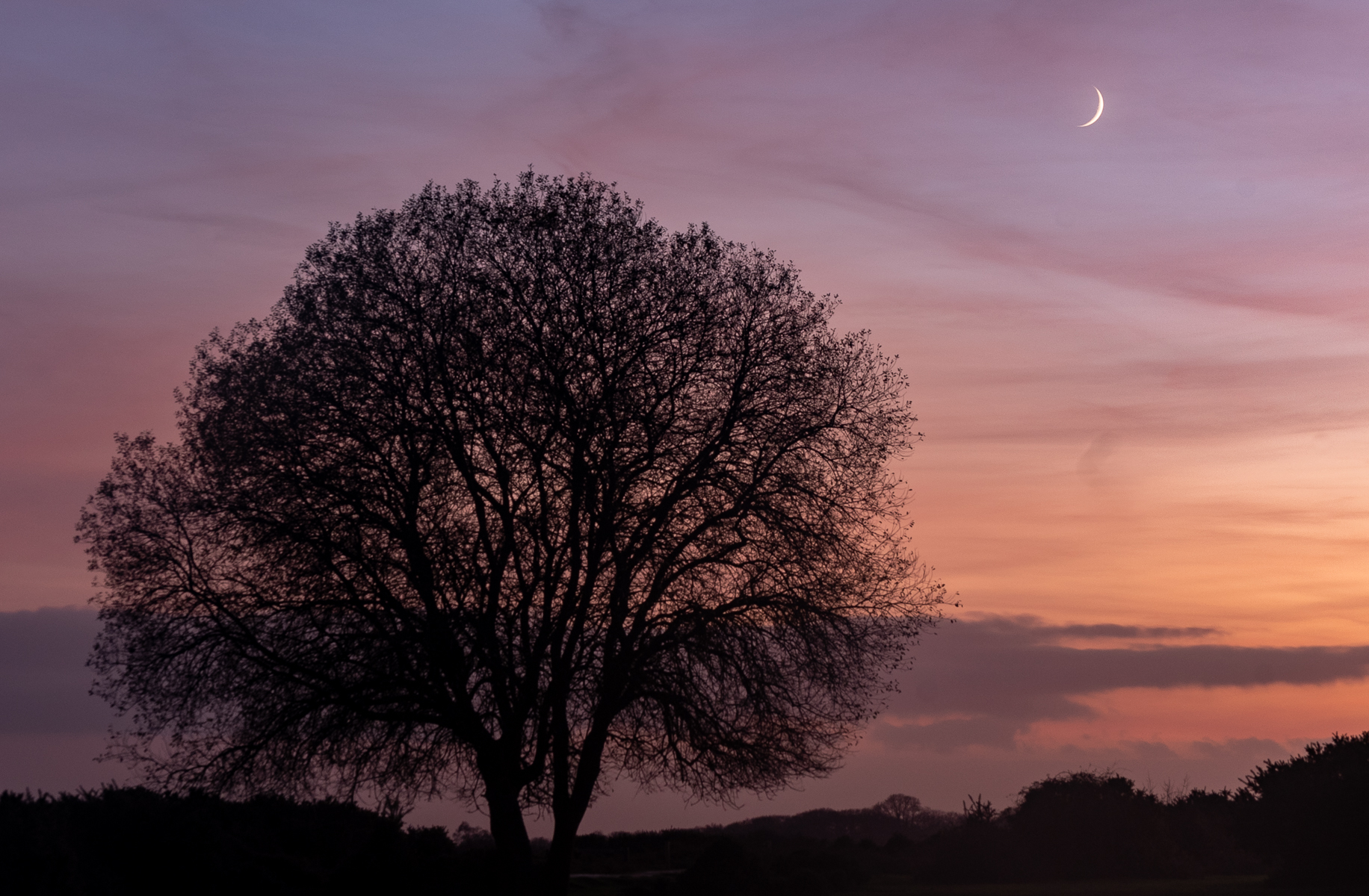 Winter Cresent Moon