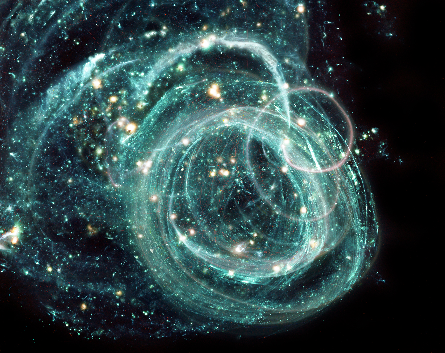 Ostracod Composition No 4 by Margaret LeJeune