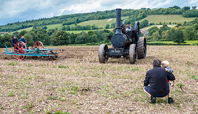 Shoreham Heavy Horse Show By Brian Tabor Large Version