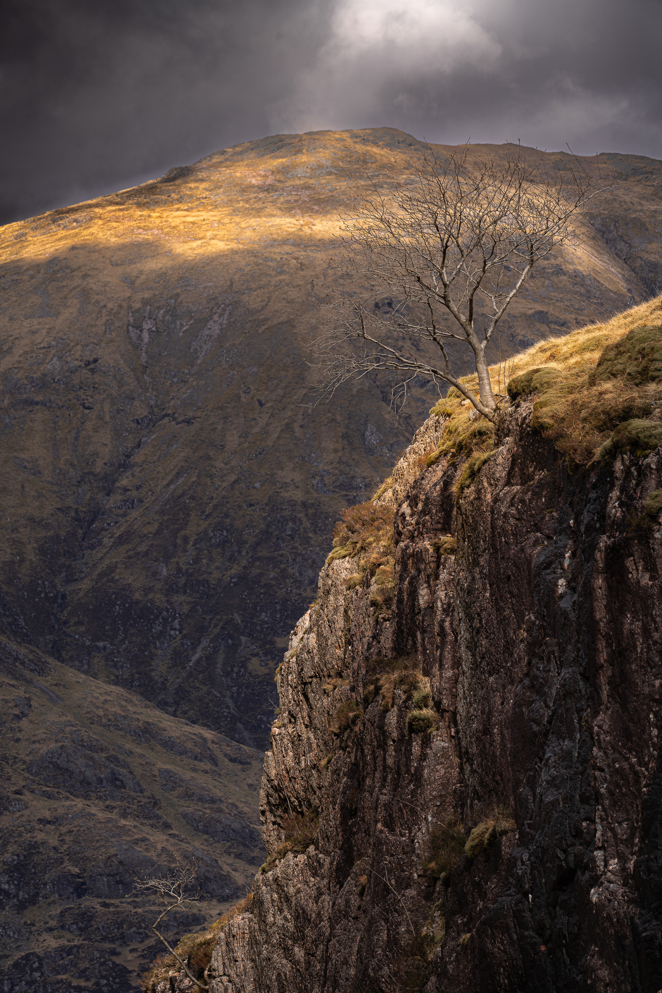 Clinging On Jeremy Hall