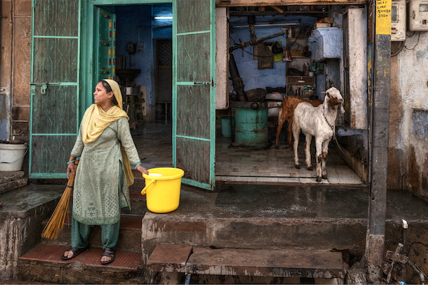 013 The Housekeeper And The Goats Jodhpur Andrew Albert Flannigan ARPS