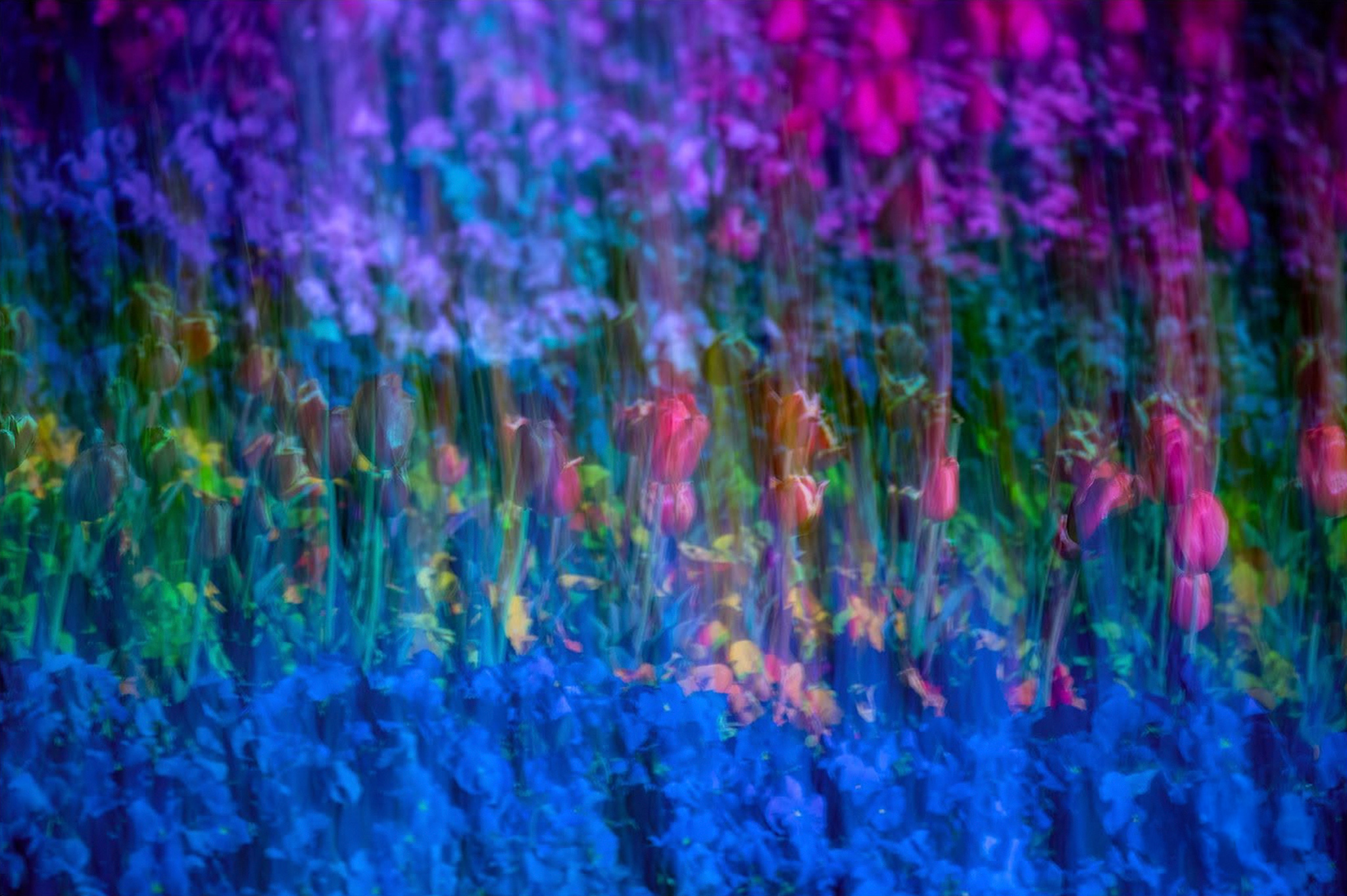 Photograph by Jacky Lee, illustrating the Texture and Pattern theme