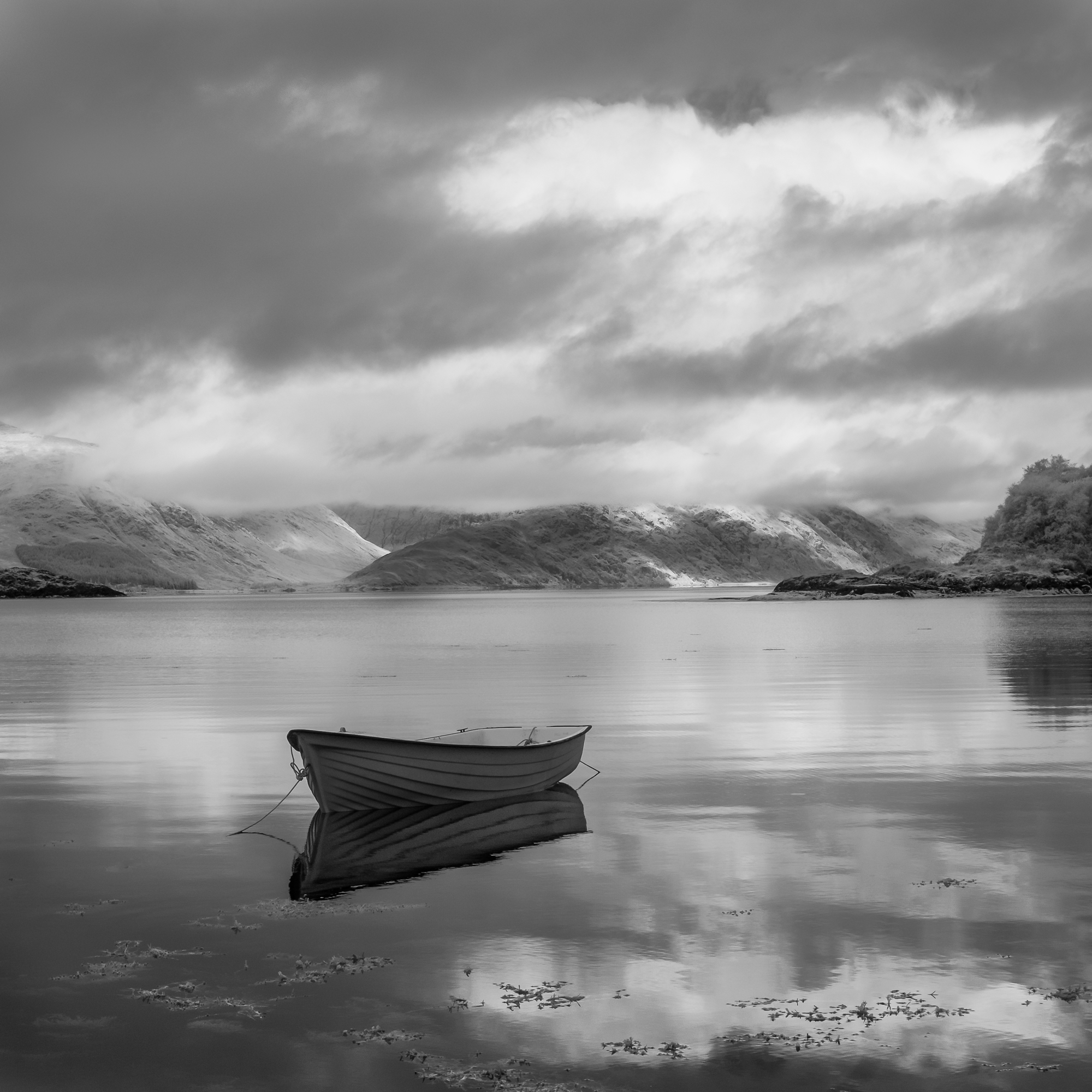 Tranquility, Isle Of Limore