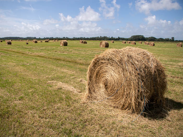 23 Magda Korthals Hay Bales Of Yellow Ochre 1