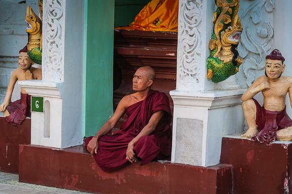 Monk At Shwedagon Temple, Yangon, Myanmar