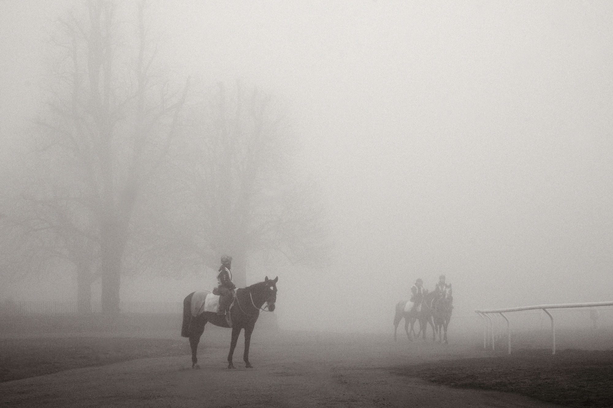 6714320 Jayne Odell Frps The Heath 2026