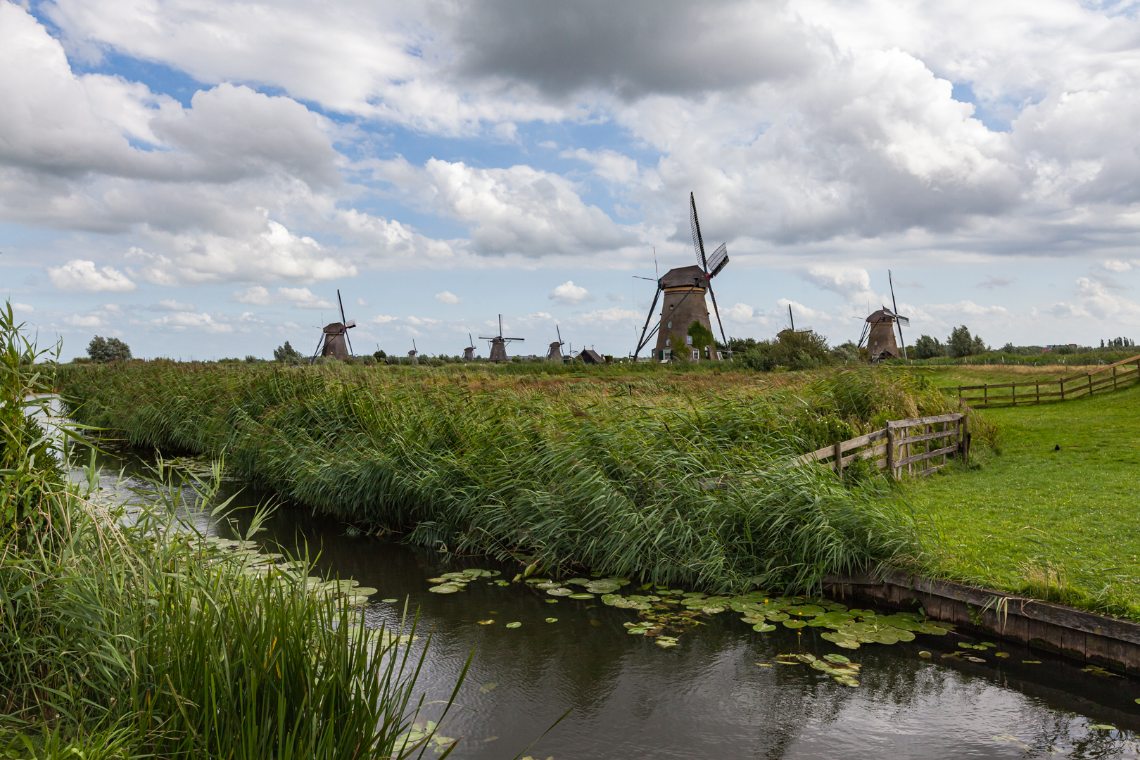 Kinderdijk © Carol Olerud FRPS