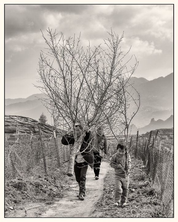 Can I Help Dad Sapa Vietnam