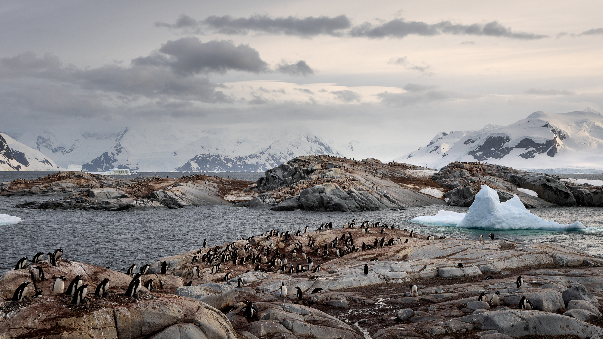 At Home On Useful Island Jean Robson FRPS