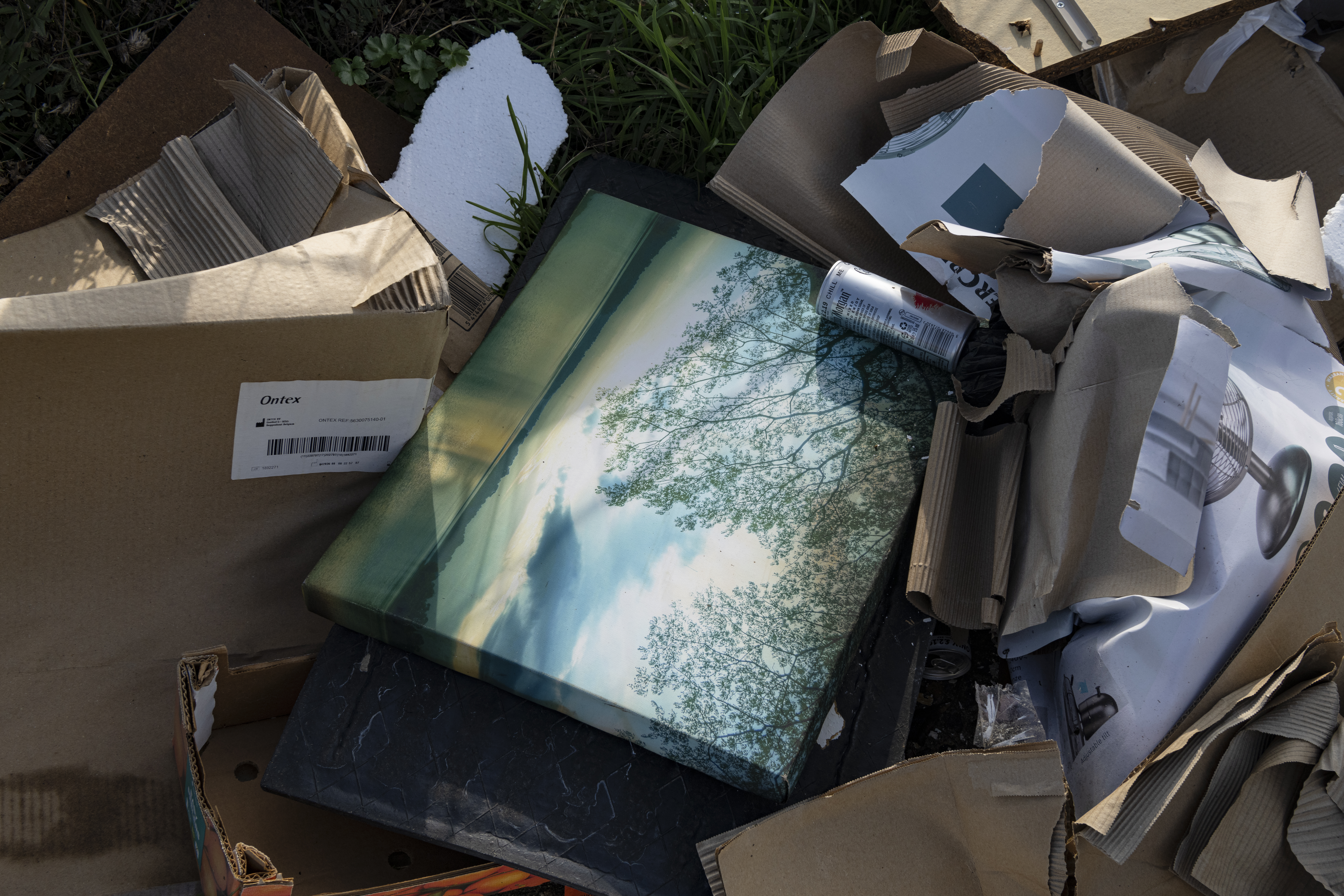 5537709 Kim Simpson Cairnmuir Road East Kilbride