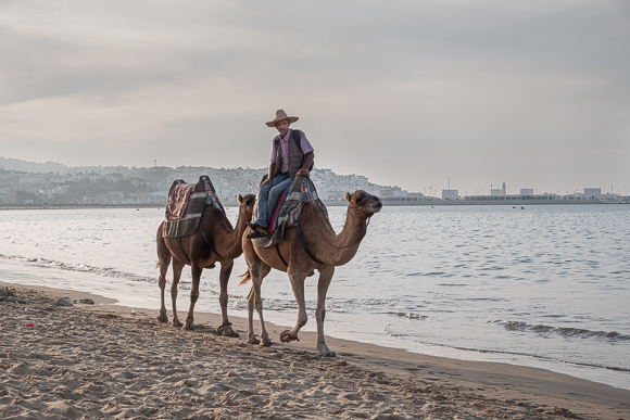 Homeward Bound, Tangier, Morocco. Sue Hutton