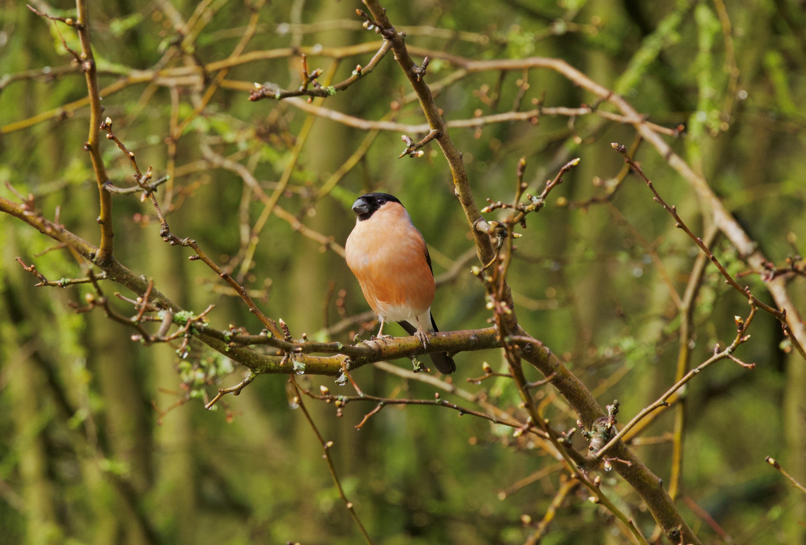 33A5ef82 09D1 47B1 A033 Eb04857dcb2d