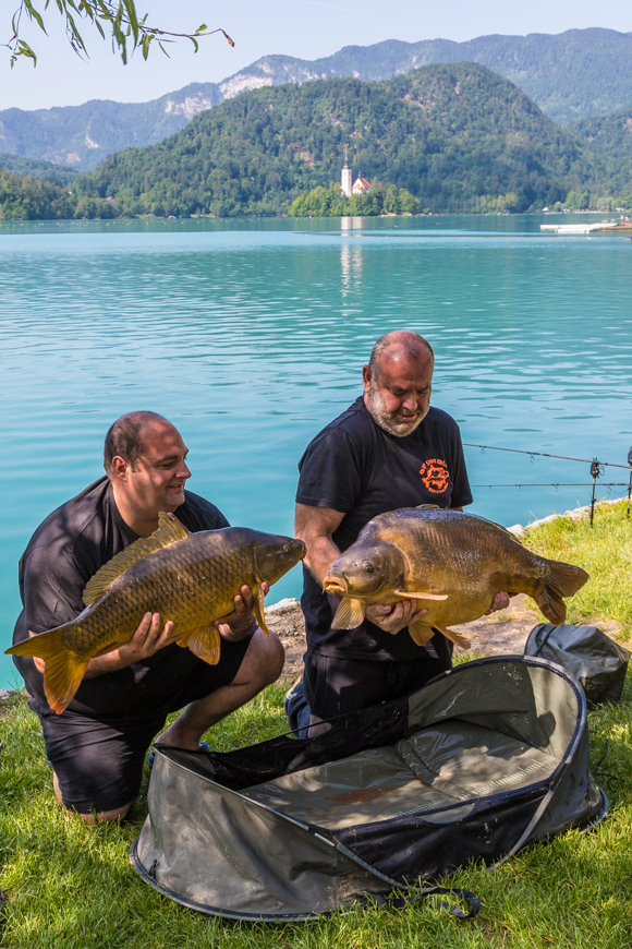 Lake Bled Fish, Slovenia