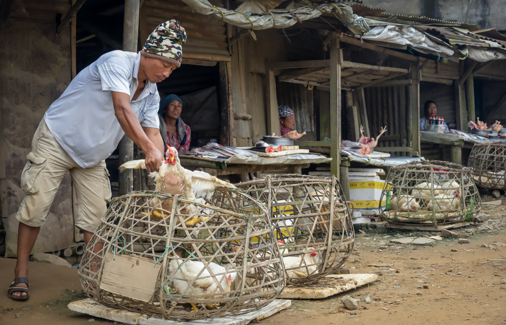 Chicken And Fish Sellers, Nagaland, India by Jo Court
