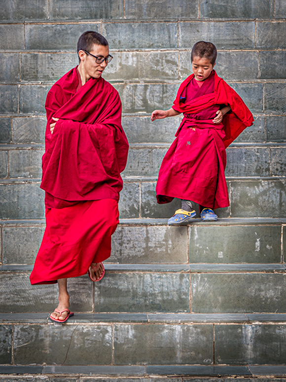 Big Steps, Little Monk, Ladakh