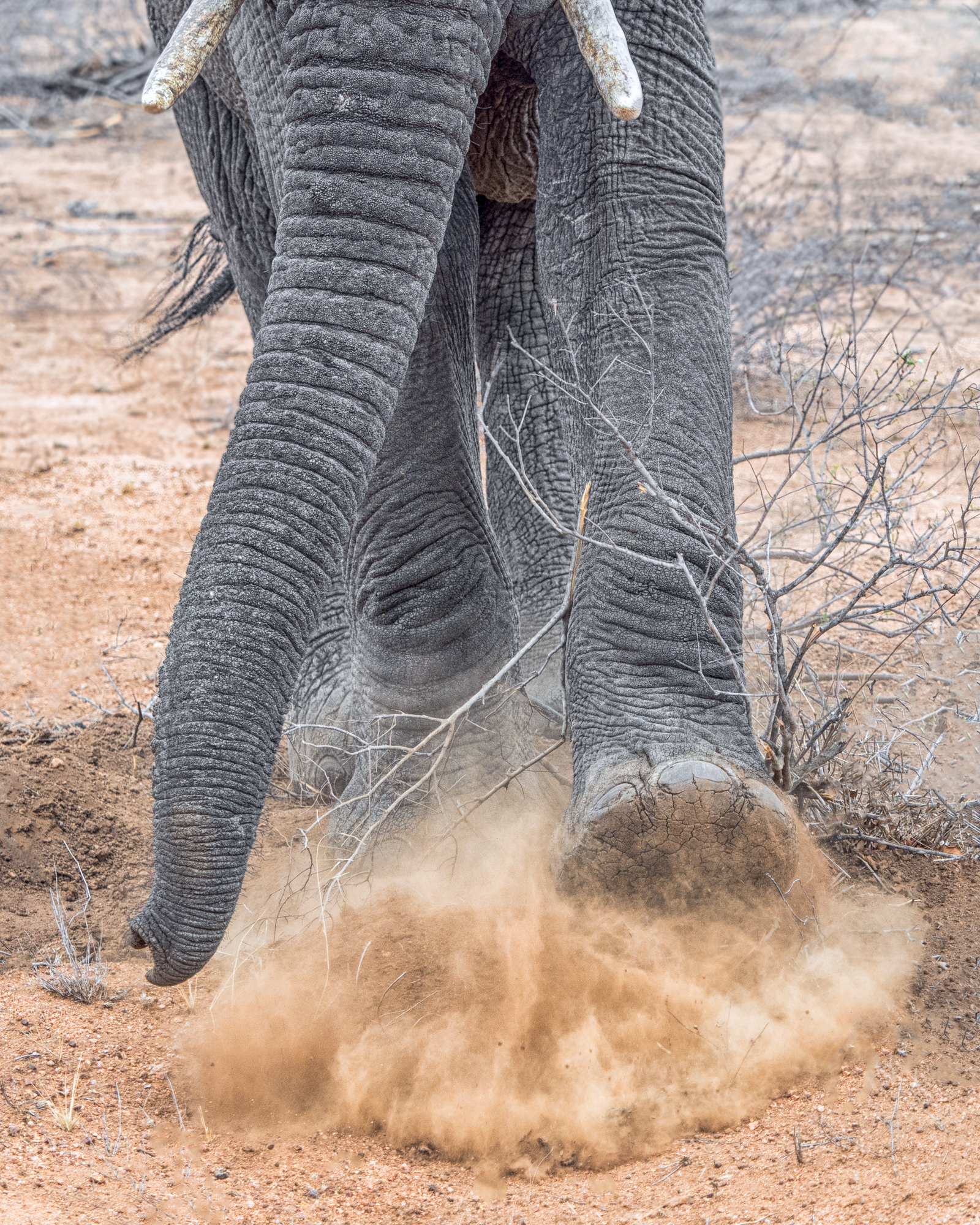 Yvonne Green LRPS Print 03