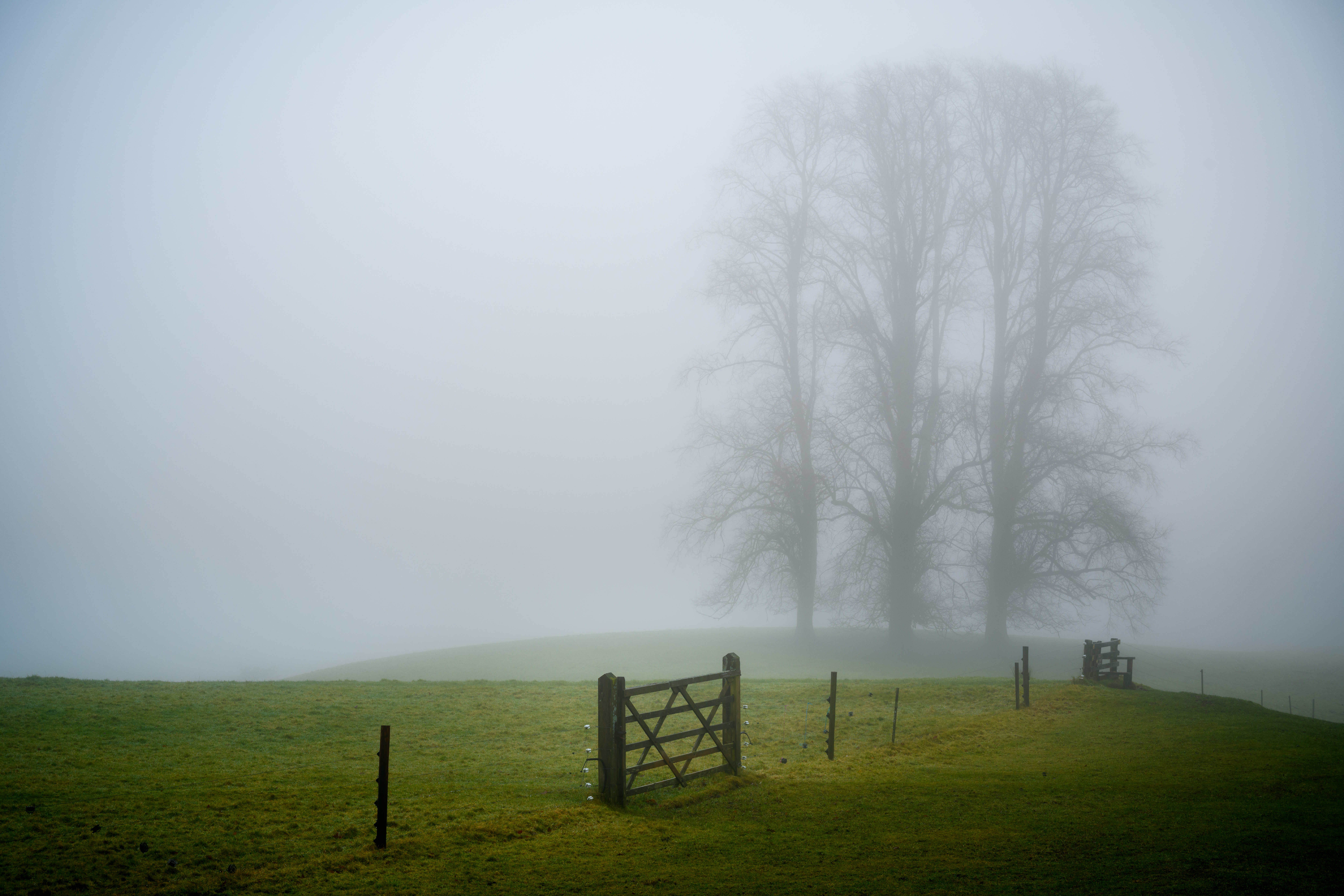 David Rippin LRPS Member 104539