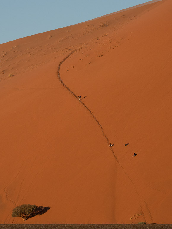 Mad Dogs And Englishmen, Namibia