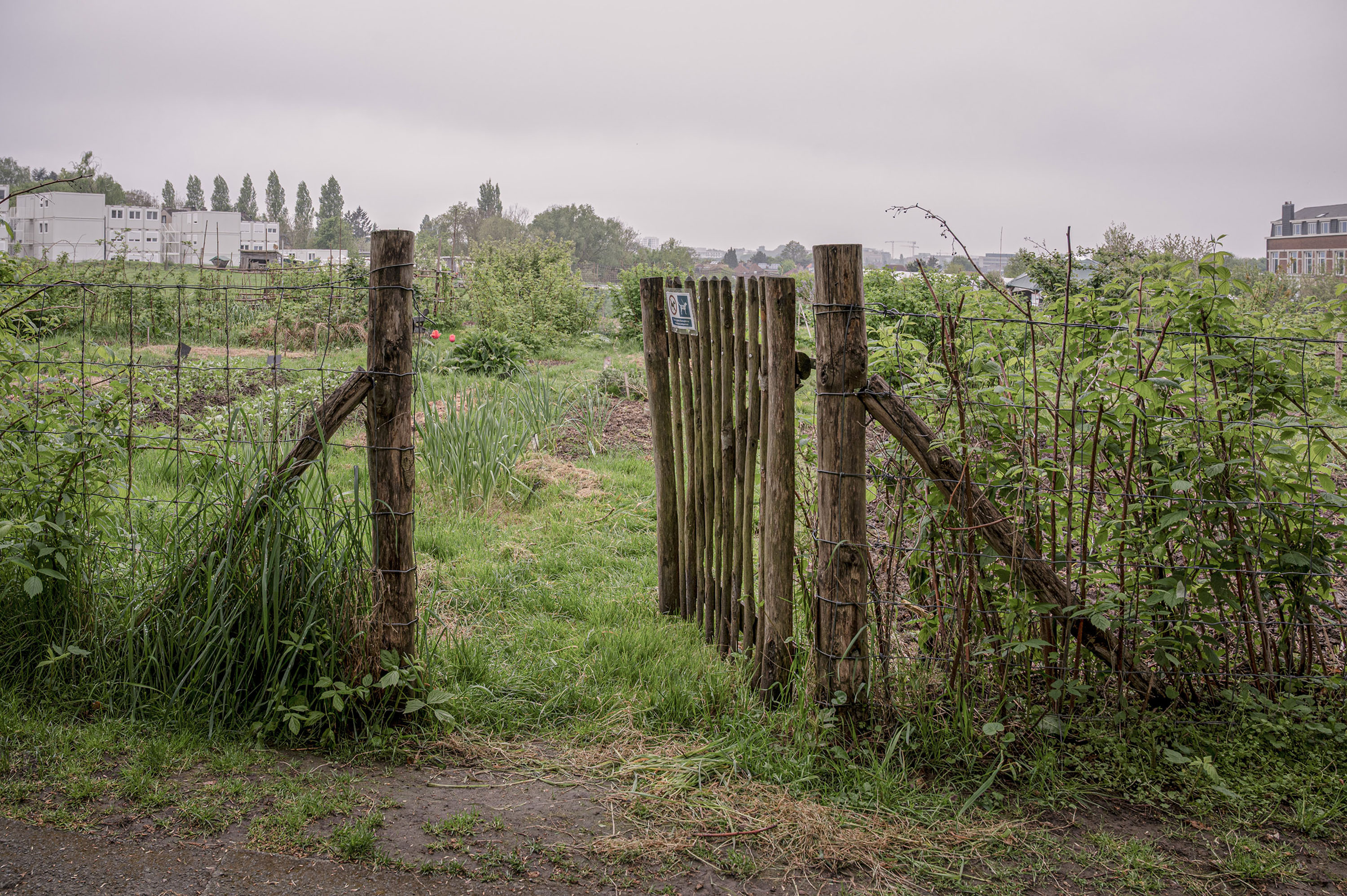 1. Felicityhandford Ejournal Copy