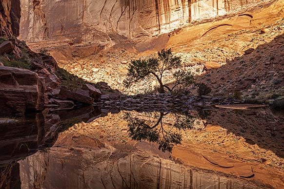 Reflection Pool, Lake Powell