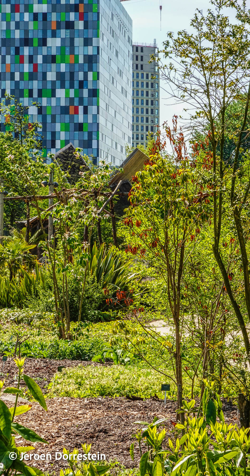 NL Jeroen Dorrestein 03 Utrecht Botanic Gardens