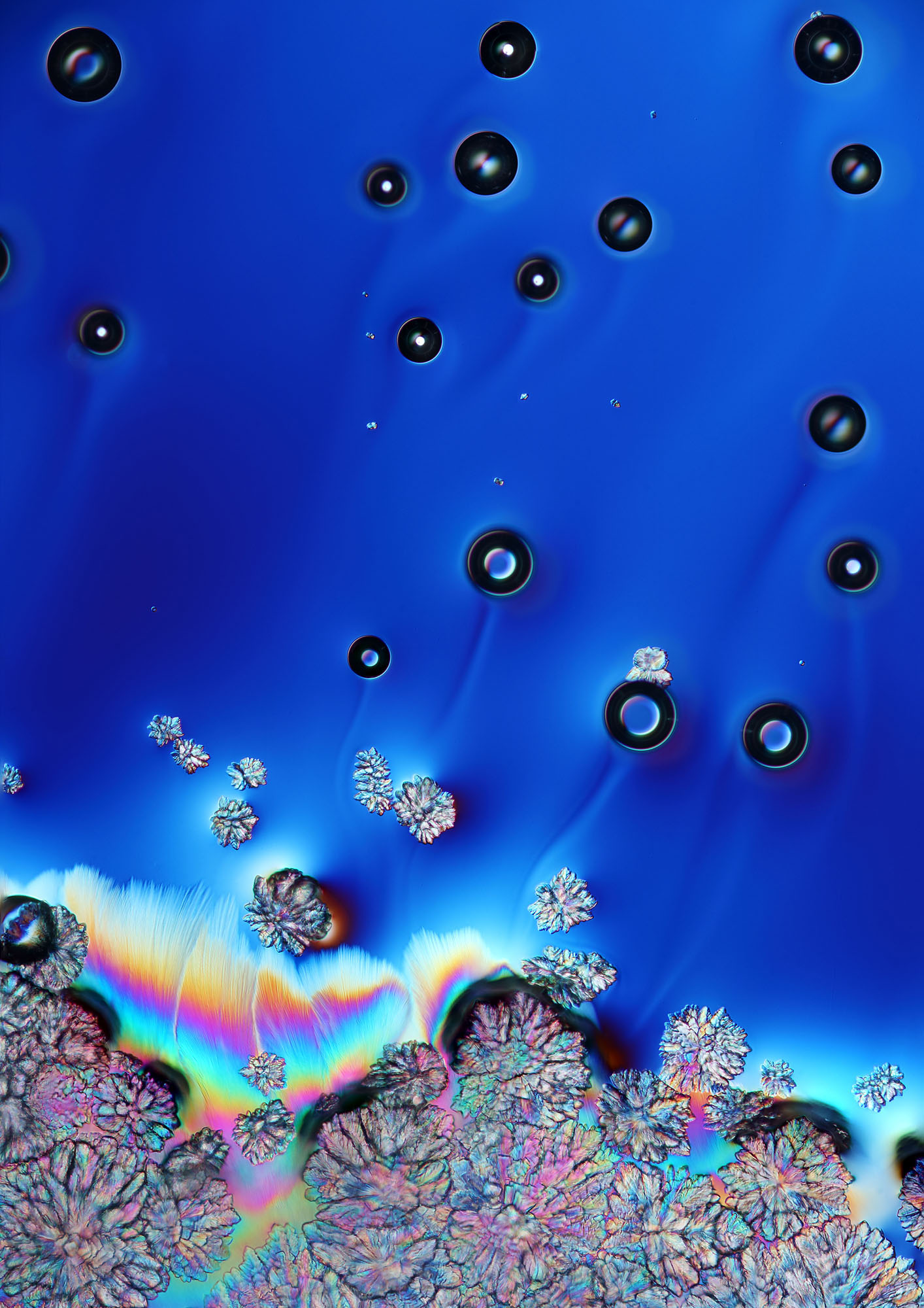 Karl Gaff The Invisible Made Visible