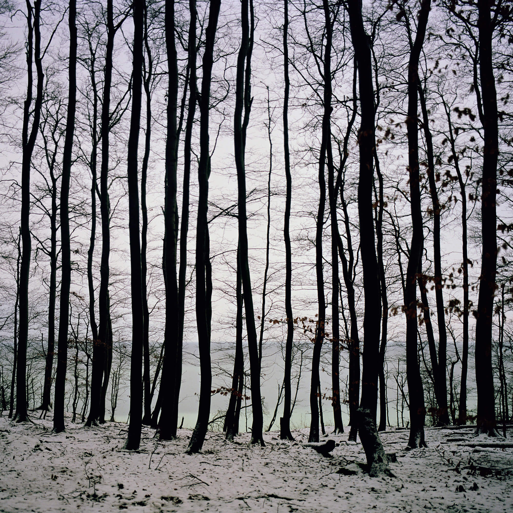 5. 'Baltic Horizon, 2015' By Darren Almond