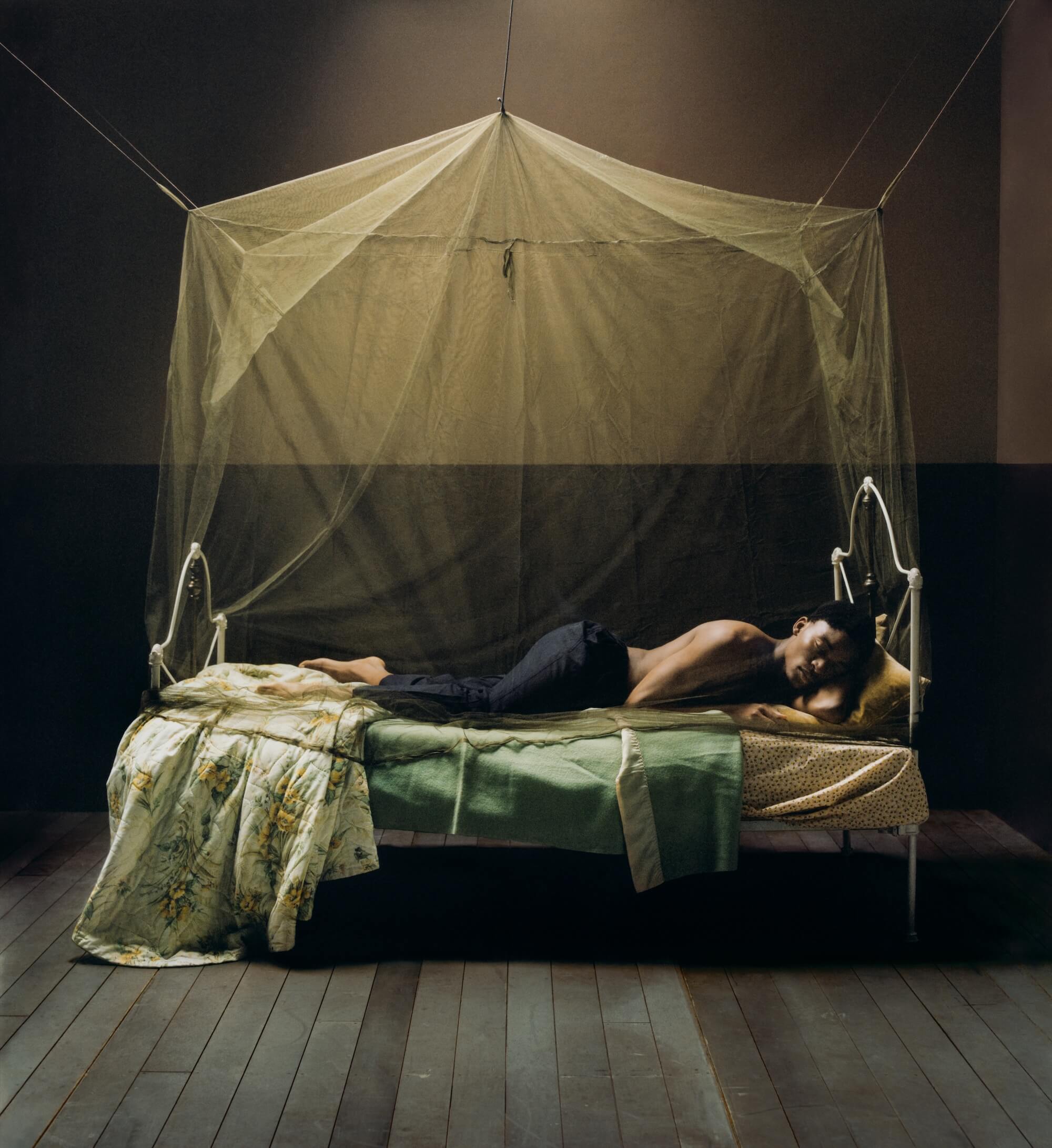 'Chrysalis, 2022' By Tyler Mitchell Honfrps