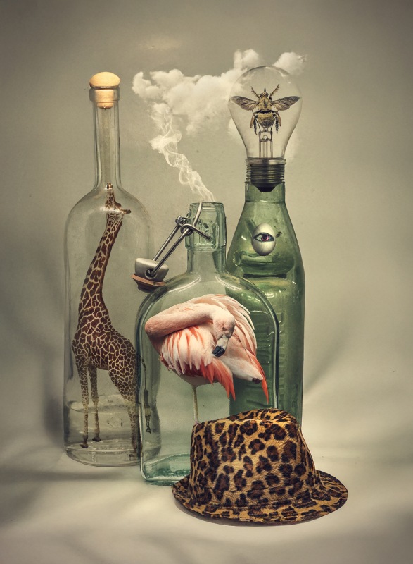 3Rd Place Captivity By Katherine Rynor ARPS 3