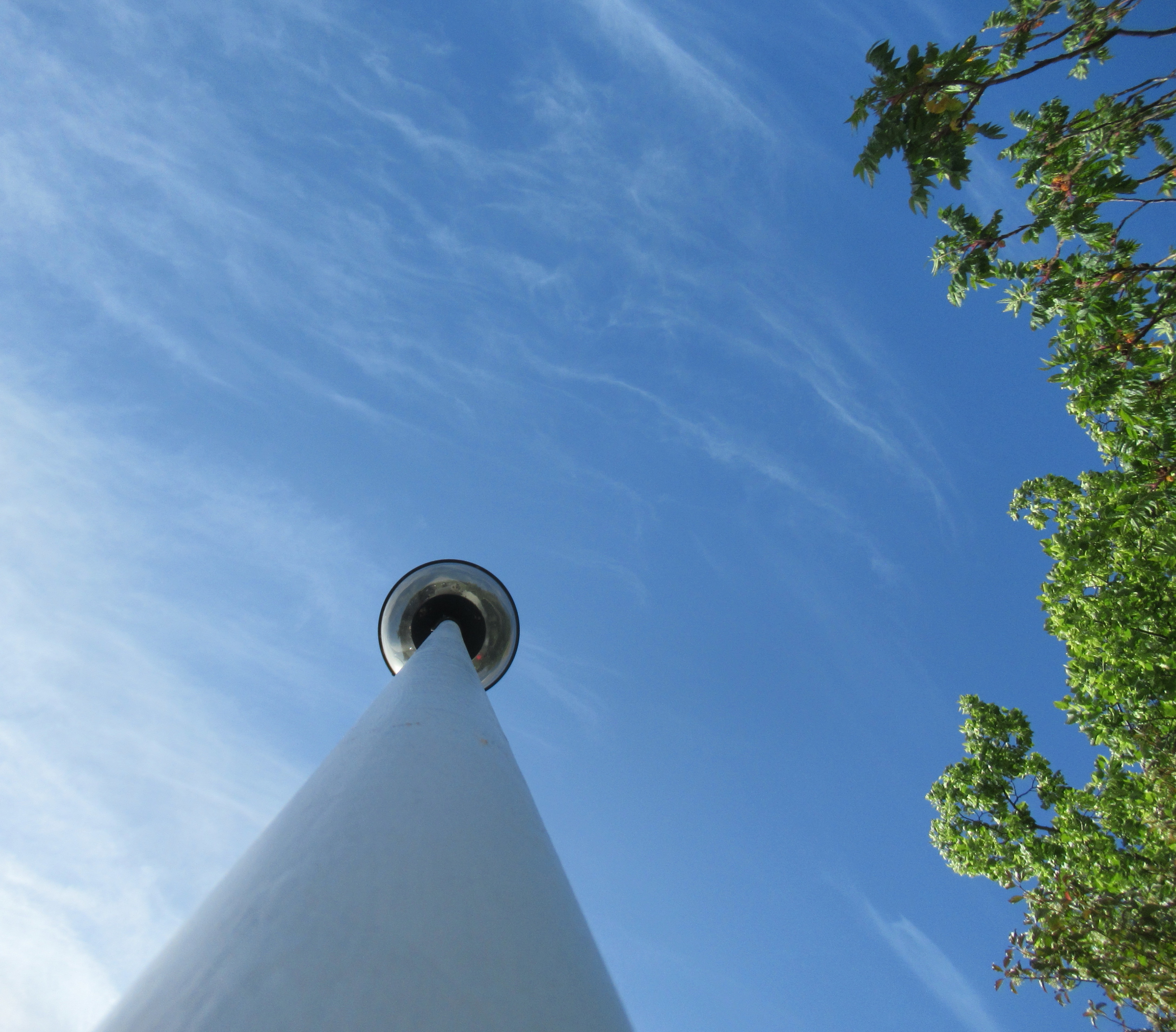 Idra Kennedy 11 Perspective Week 5