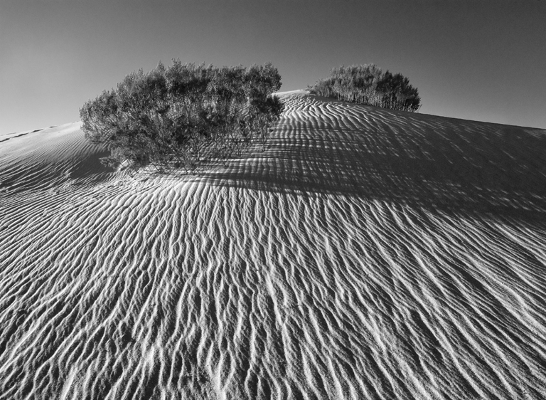 Suegoldberg Card LRPS 07