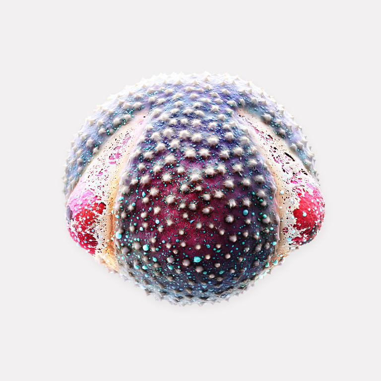 © Martin © Micronaut Oak Pollen 6K30us012 BIG