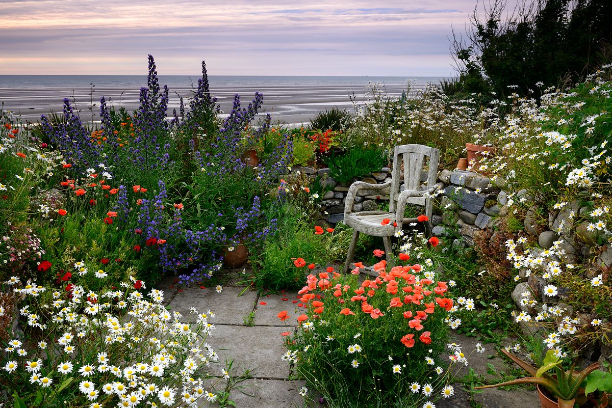 Richard Murphy 368451