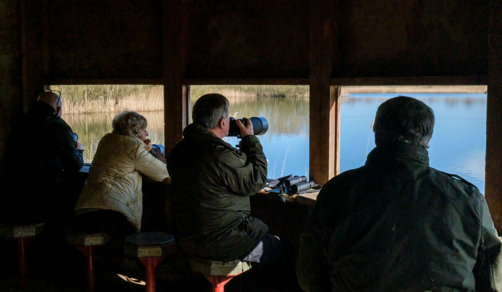 Stanwick Lakes By Ann Miles