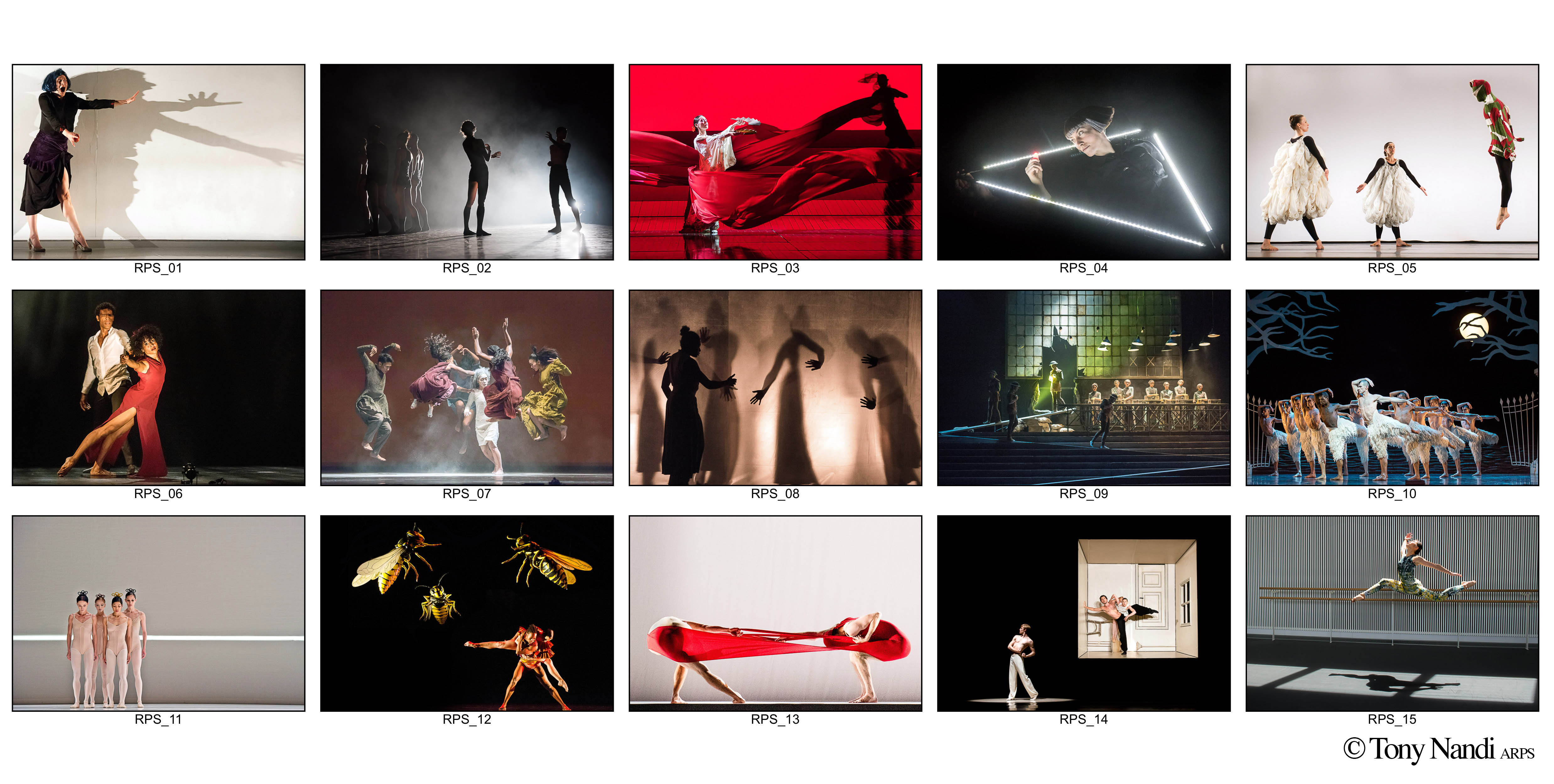 Tony Nandi RPS Hanging Guide