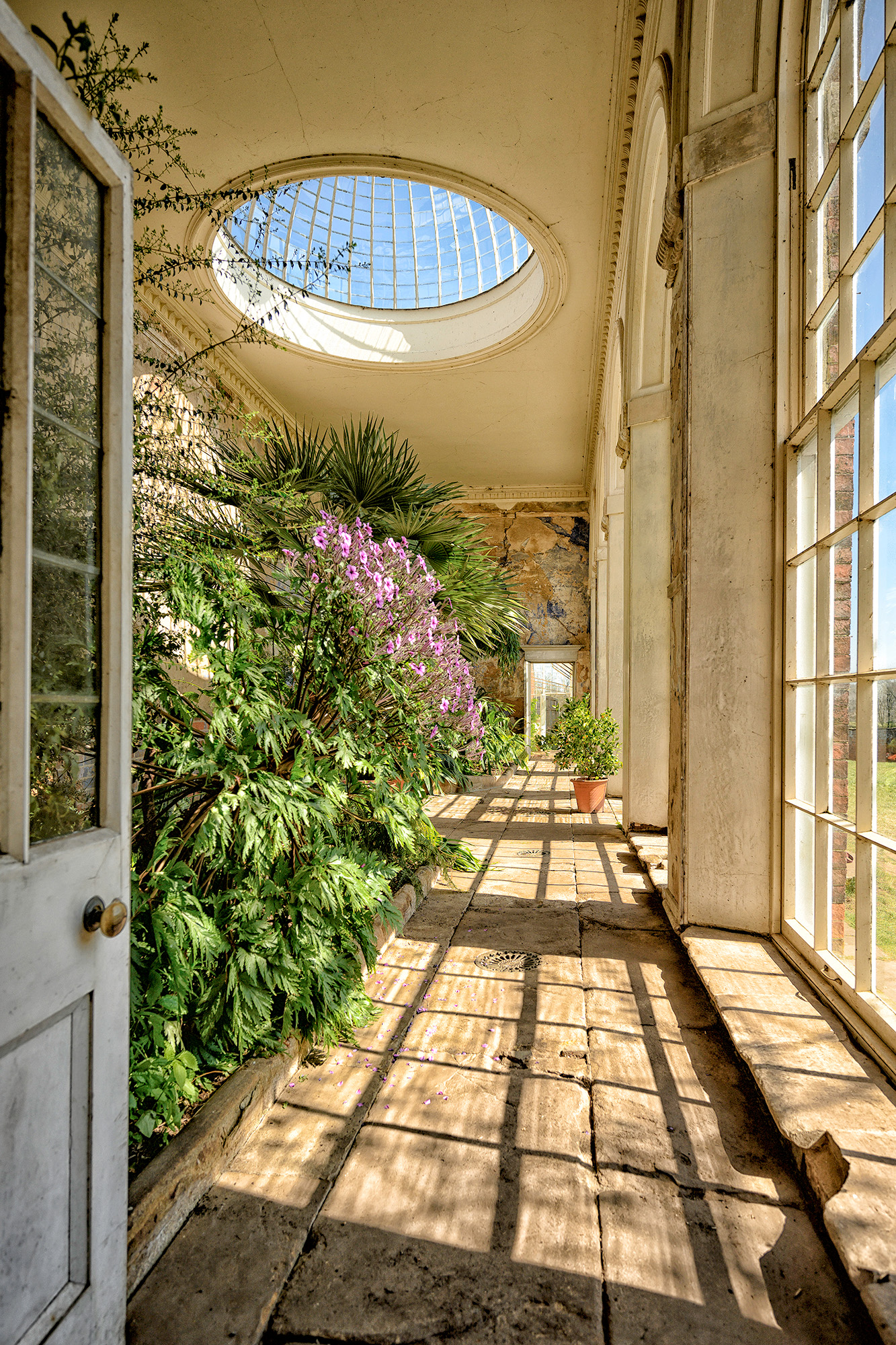 The Orangery, Calke Abbey